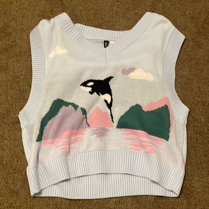 h&m sweater vest